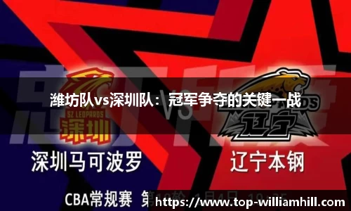 潍坊队vs深圳队：冠军争夺的关键一战